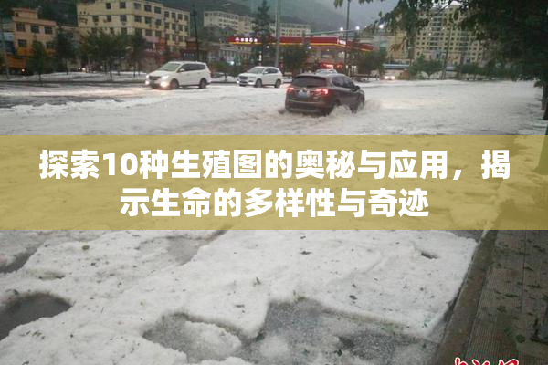 探索10种生殖图的奥秘与应用，揭示生命的多样性与奇迹