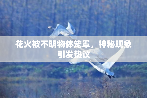 花火被不明物体笼罩，神秘现象引发热议