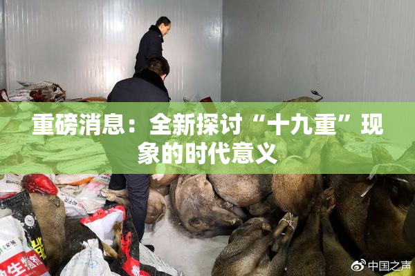 重磅消息：全新探讨“十九重”现象的时代意义