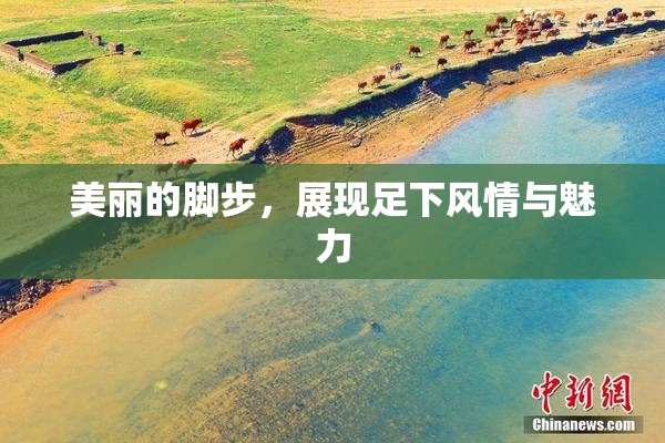 美丽的脚步，展现足下风情与魅力