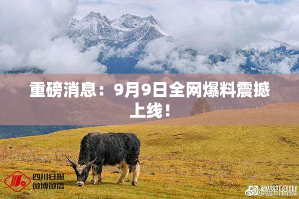 重磅消息：9月9日全网爆料震撼上线！