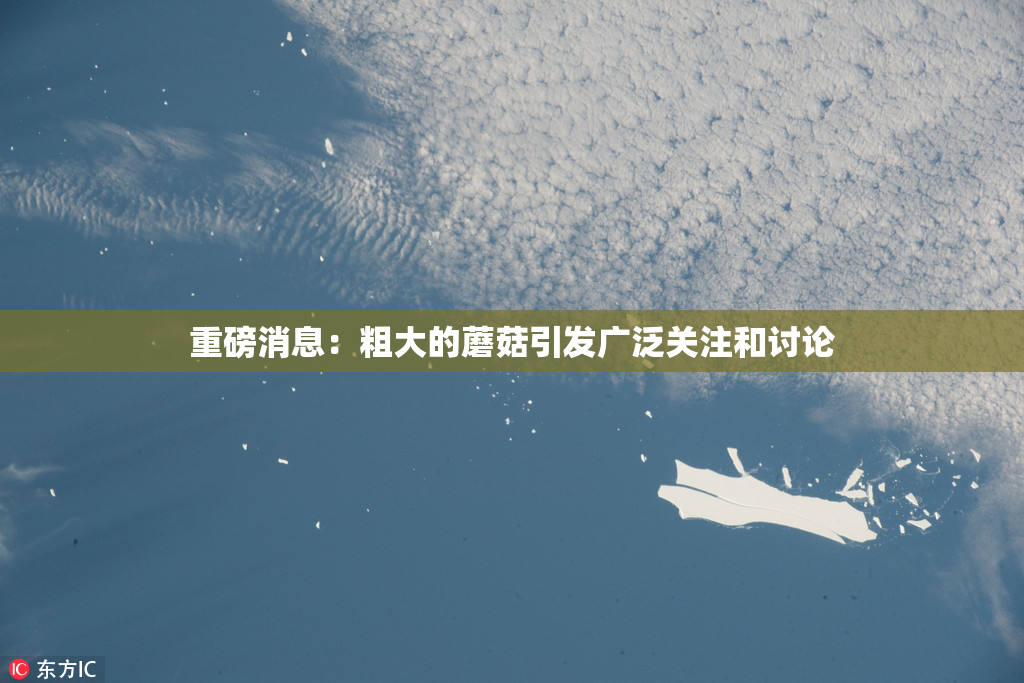 重磅消息：粗大的蘑菇引发广泛关注和讨论