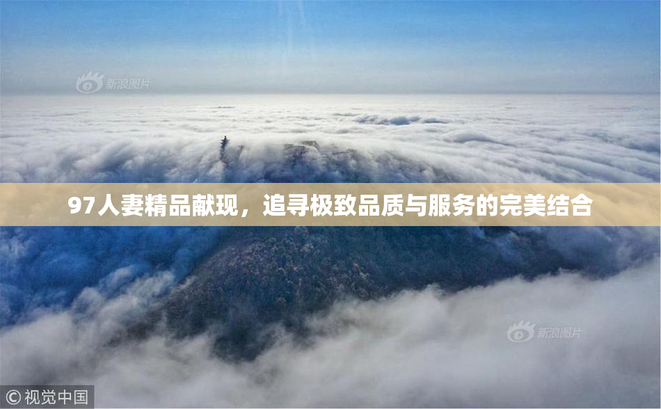 97人妻精品献现，追寻极致品质与服务的完美结合