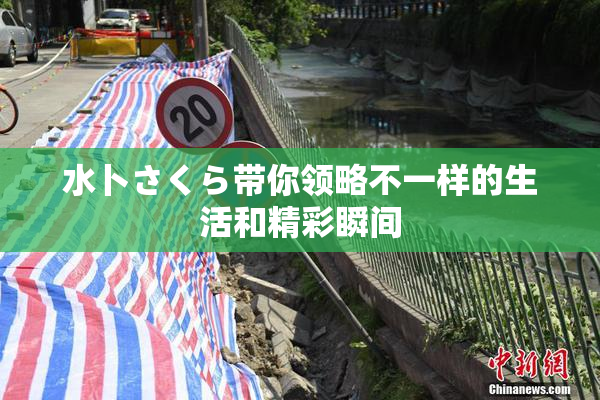 水卜さくら带你领略不一样的生活和精彩瞬间