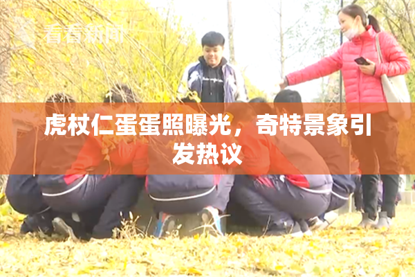 虎杖仁蛋蛋照曝光，奇特景象引发热议