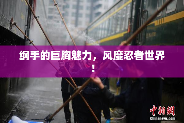 纲手的巨胸魅力，风靡忍者世界！