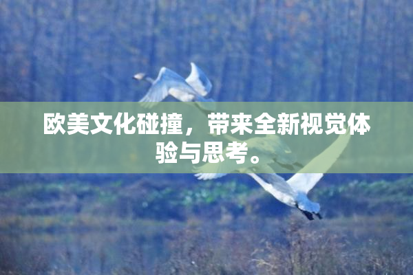 欧美文化碰撞，带来全新视觉体验与思考。