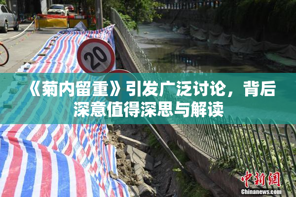 《菊内留重》引发广泛讨论，背后深意值得深思与解读