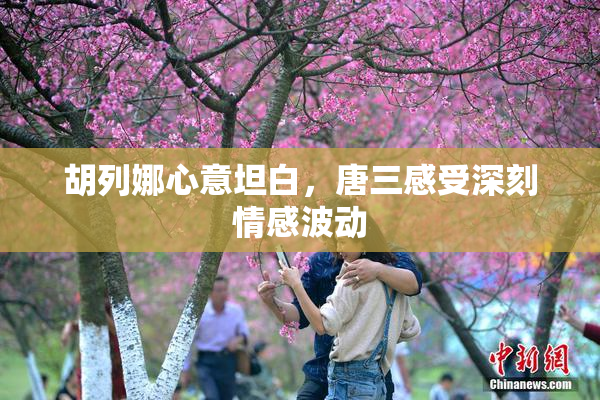 胡列娜心意坦白，唐三感受深刻情感波动