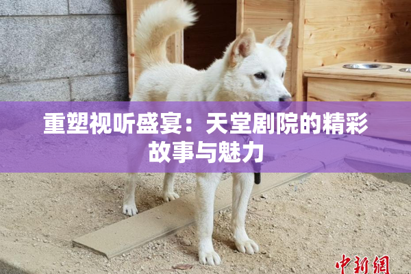 重塑视听盛宴：天堂剧院的精彩故事与魅力