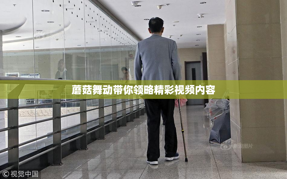 蘑菇舞动带你领略精彩视频内容