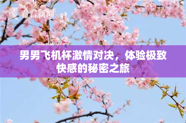 男男飞机杯激情对决，体验极致快感的秘密之旅
