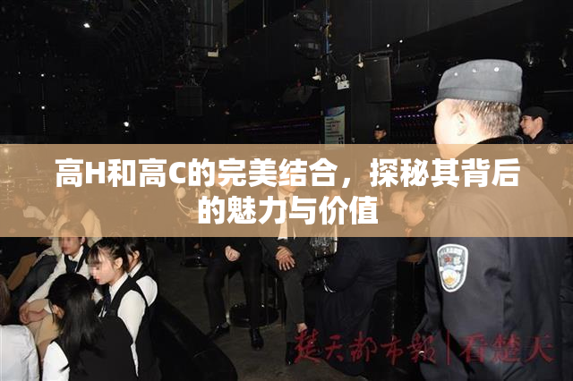 高H和高C的完美结合，探秘其背后的魅力与价值