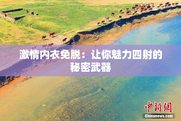 激情内衣免脱：让你魅力四射的秘密武器