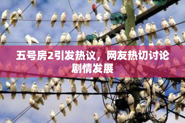 五号房2引发热议，网友热切讨论剧情发展