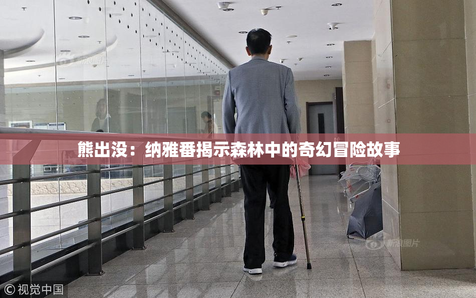 熊出没：纳雅番揭示森林中的奇幻冒险故事