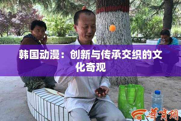 韩国动漫：创新与传承交织的文化奇观