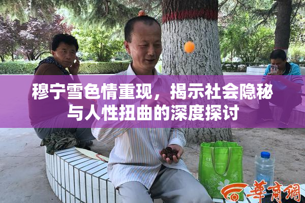 穆宁雪色情重现，揭示社会隐秘与人性扭曲的深度探讨