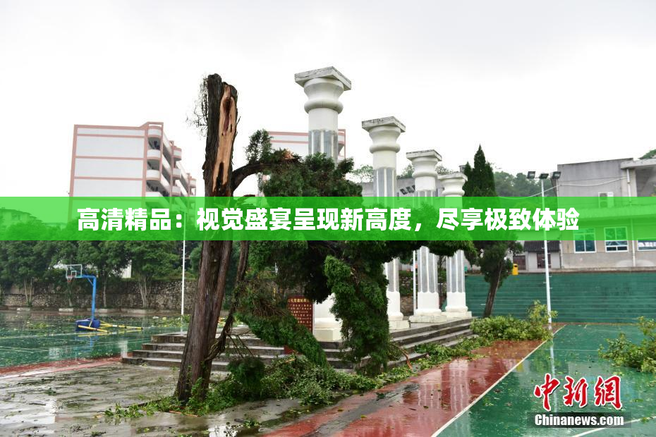 高清精品：视觉盛宴呈现新高度，尽享极致体验