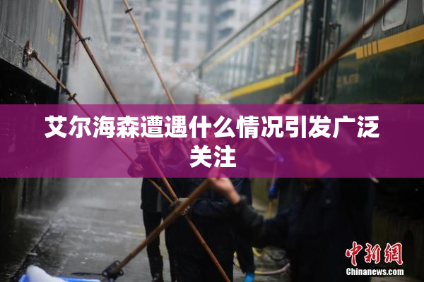 艾尔海森遭遇什么情况引发广泛关注
