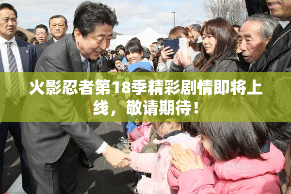 火影忍者第18季精彩剧情即将上线，敬请期待！