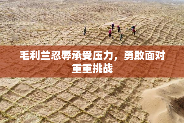 毛利兰忍辱承受压力，勇敢面对重重挑战