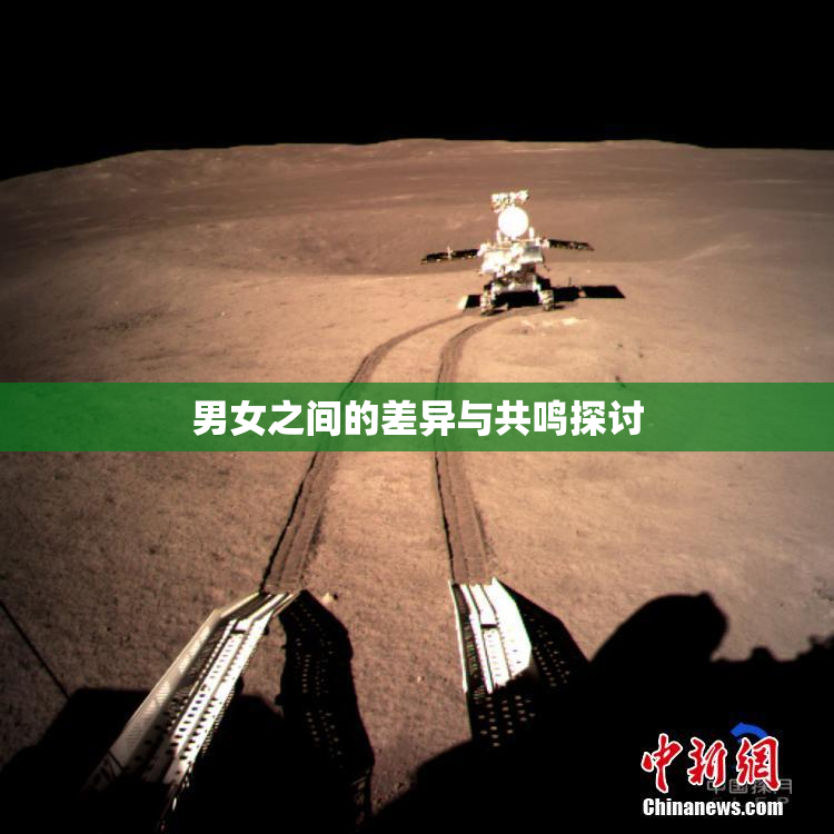 男女之间的差异与共鸣探讨