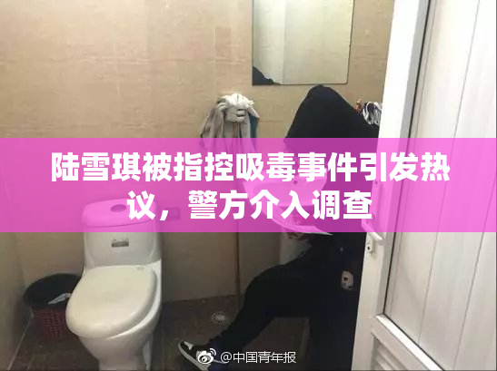 陆雪琪被指控吸毒事件引发热议，警方介入调查