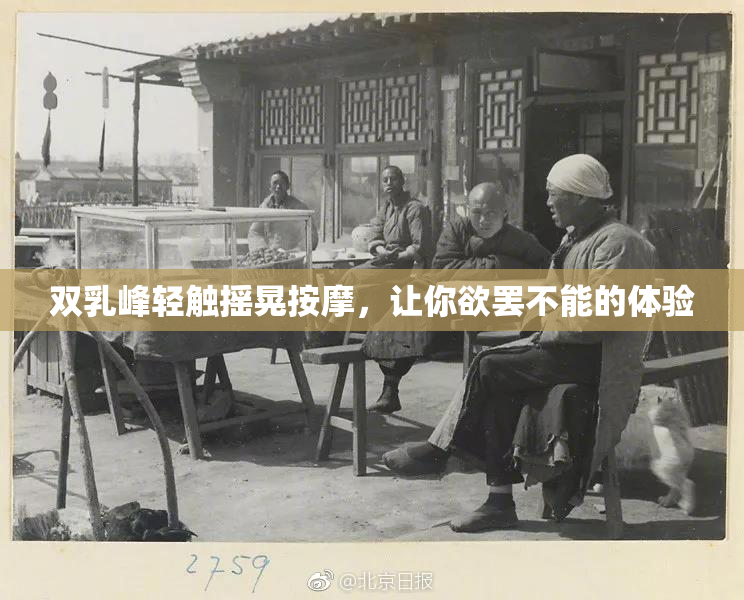 双乳峰轻触摇晃按摩，让你欲罢不能的体验
