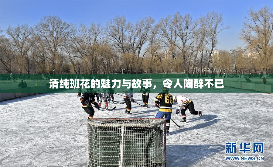 清纯班花的魅力与故事，令人陶醉不已