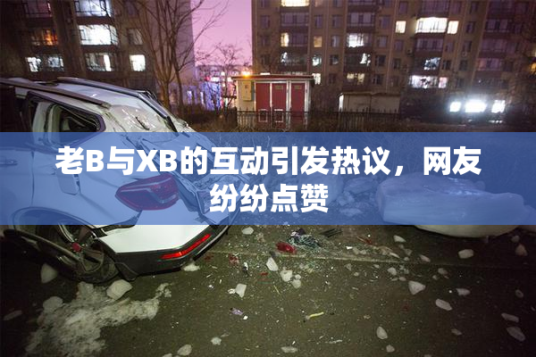 老B与XB的互动引发热议，网友纷纷点赞