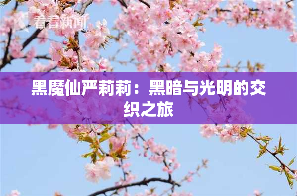 黑魔仙严莉莉：黑暗与光明的交织之旅