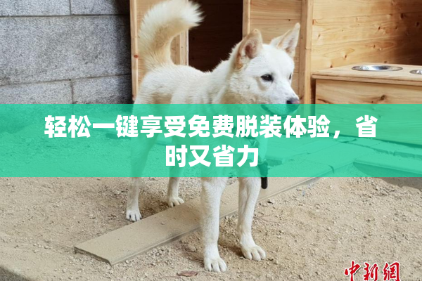 轻松一键享受免费脱装体验，省时又省力
