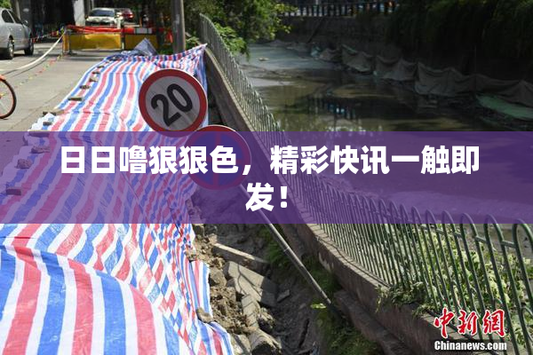 日日噜狠狠色，精彩快讯一触即发！