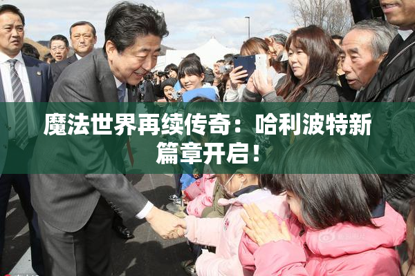 魔法世界再续传奇：哈利波特新篇章开启！