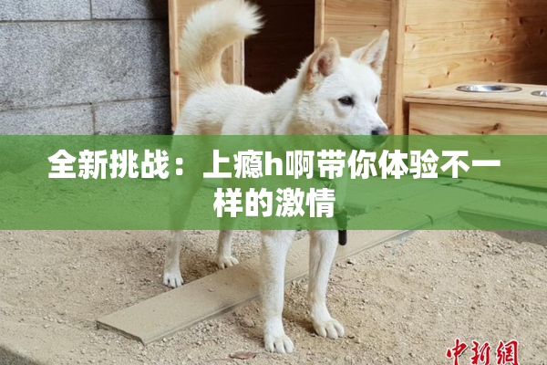 全新挑战：上瘾h啊带你体验不一样的激情