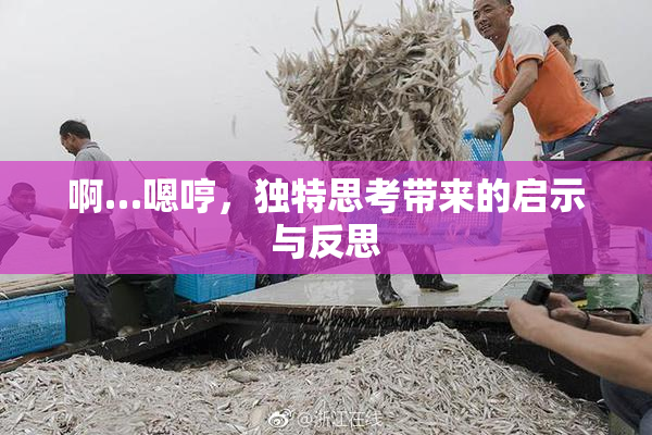 啊…嗯哼，独特思考带来的启示与反思