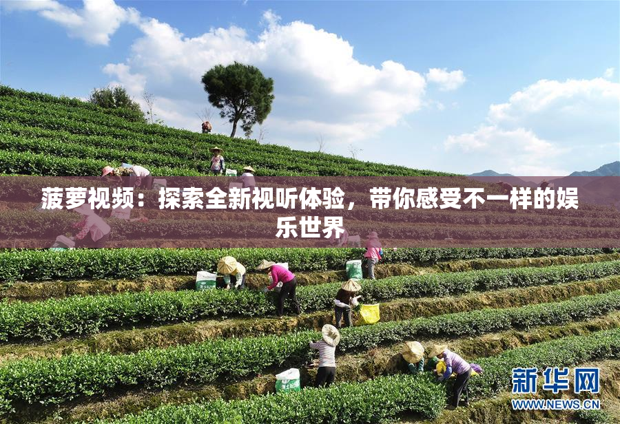 菠萝视频：探索全新视听体验，带你感受不一样的娱乐世界