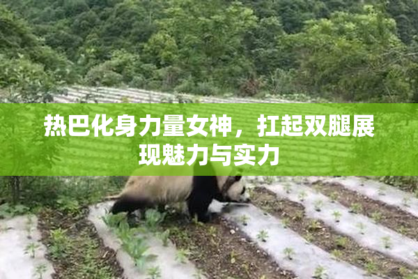 热巴化身力量女神，扛起双腿展现魅力与实力