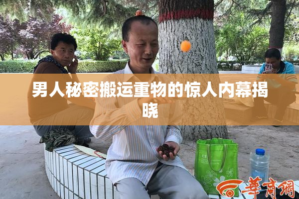 男人秘密搬运重物的惊人内幕揭晓