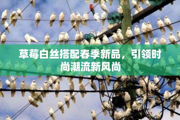 草莓白丝搭配春季新品，引领时尚潮流新风尚