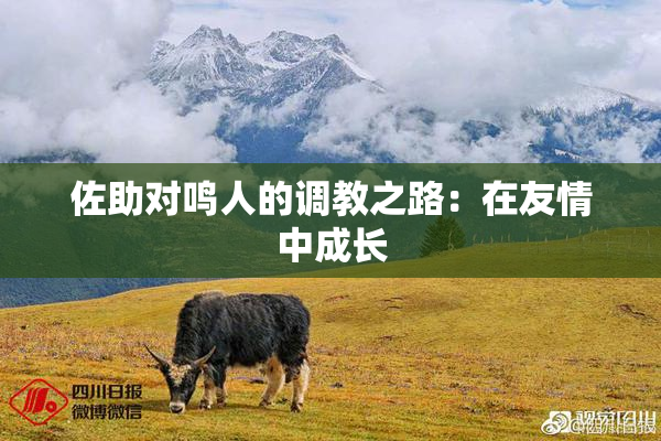 佐助对鸣人的调教之路：在友情中成长
