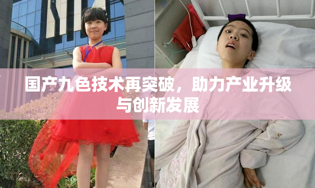 国产九色技术再突破，助力产业升级与创新发展