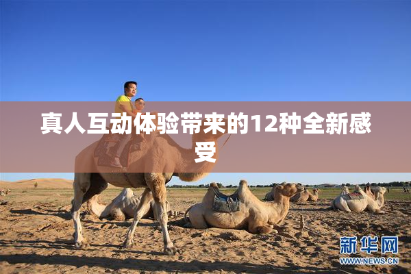 真人互动体验带来的12种全新感受