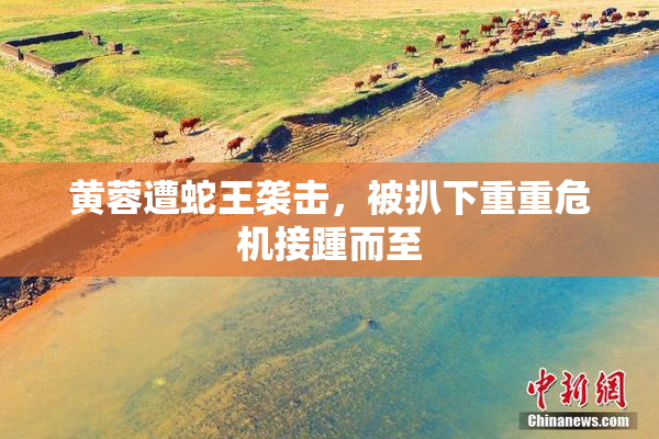黄蓉遭蛇王袭击，被扒下重重危机接踵而至