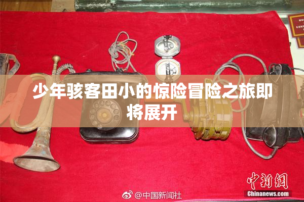 少年骇客田小的惊险冒险之旅即将展开