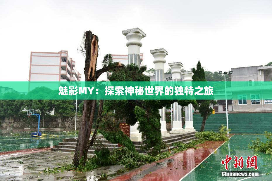 魅影MY：探索神秘世界的独特之旅