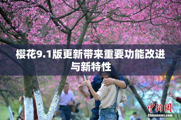 樱花9.1版更新带来重要功能改进与新特性