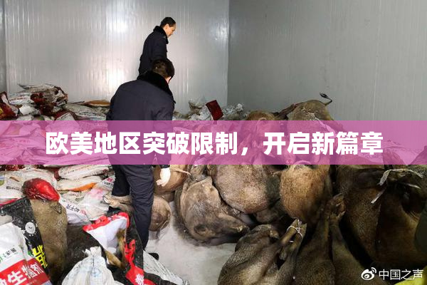 欧美地区突破限制，开启新篇章