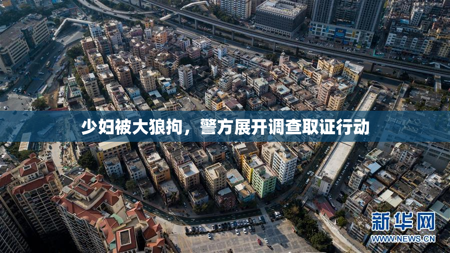 少妇被大狼拘，警方展开调查取证行动